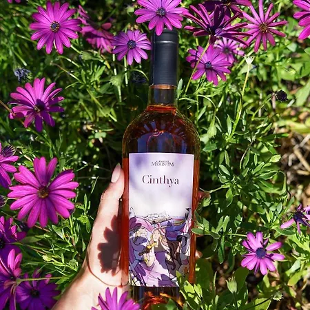 Tenuta Padre Pio アパートホテル 4*