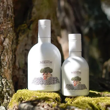 アパートホテル Tenuta Padre Pio ヴィエステ