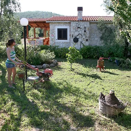 アパートホテル Tenuta Padre Pio ヴィエステ